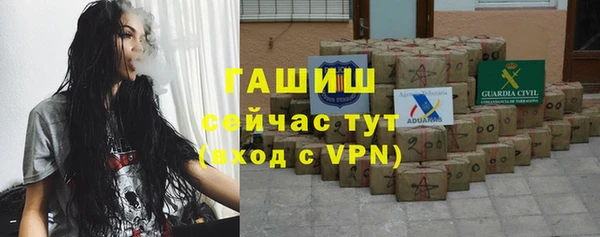 дмт Богданович