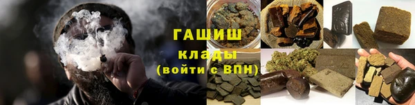 дмт Богданович
