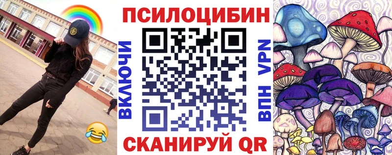 Купить где Нюрба Галлюциногенные грибы GOLDEN TEACHER
